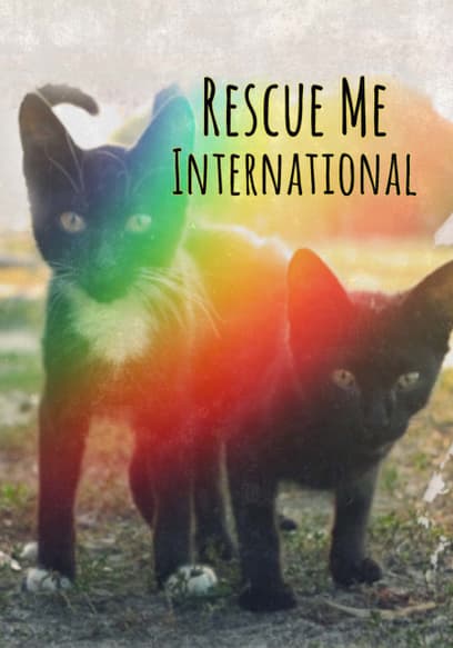 Rescue Me: International