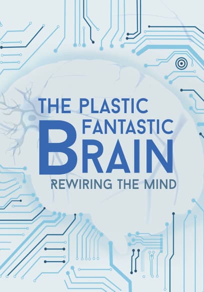 The Plastic Fantastic Brain: Rewiring the Mind