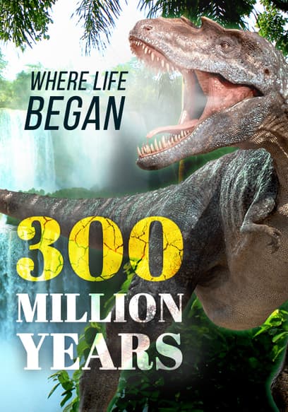 300 Million Years