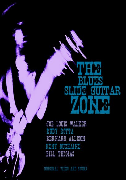 The Blues Slide Guitar Zone