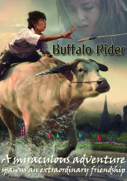 Buffalo Rider