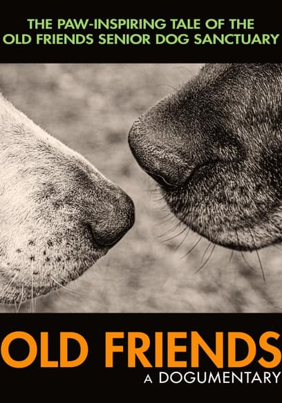 Old Friends: A Dogumentary