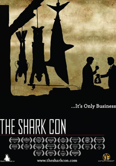 The Shark Con