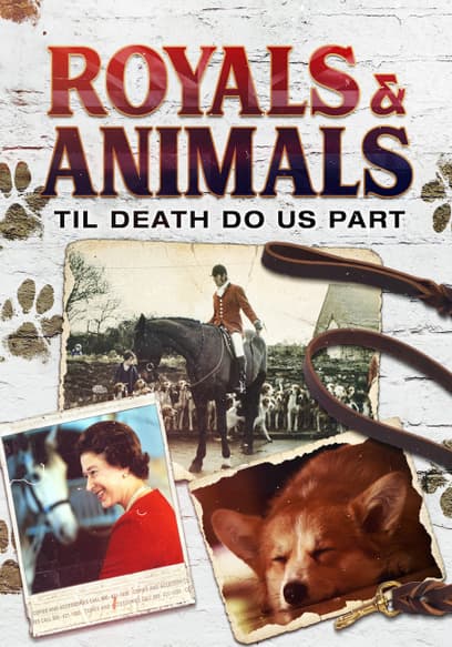 Royals & Animals: Til Death Do Us Part