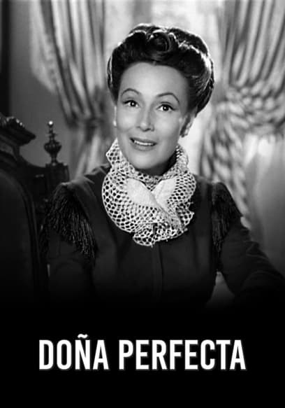 Doña Perfecta