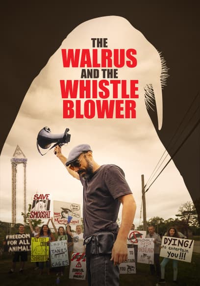 The Walrus and the Whistleblower