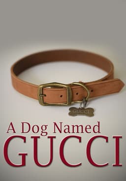 A Dog Named Gucci