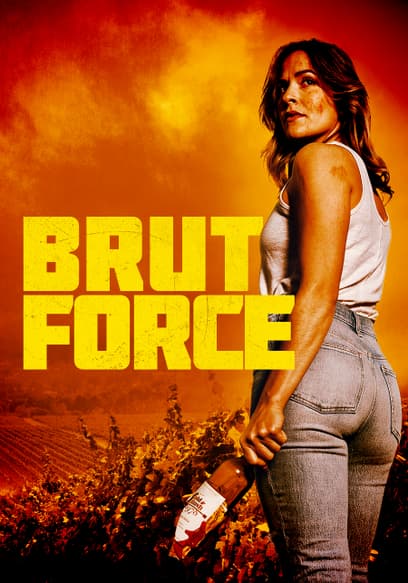 Brut Force (Sub Esp)