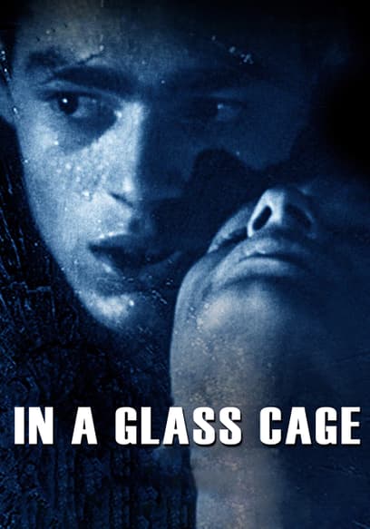 In a Glass Cage