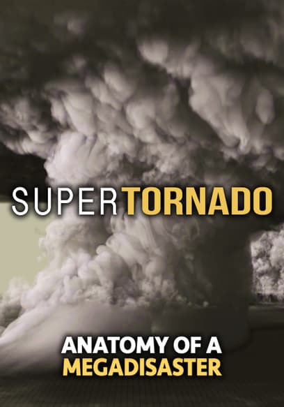 SuperTornado: Anatomy of a Megadisaster