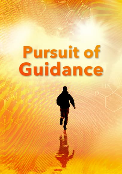 Pursuit of Guidance