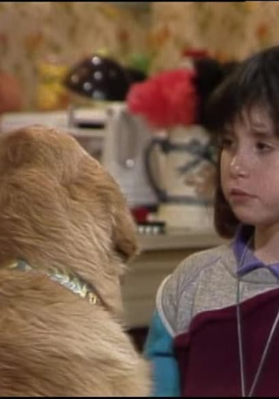 Watch Punky Brewster S01:E13 - I Love You Brandon - Free TV Shows | Tubi