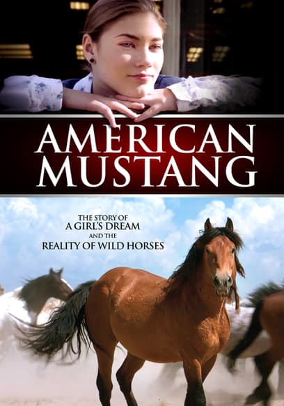 American Mustang