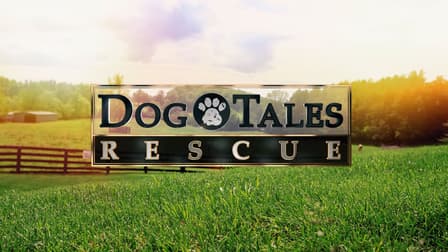 Watch Dog Tales Rescue - Free TV Shows | Tubi
