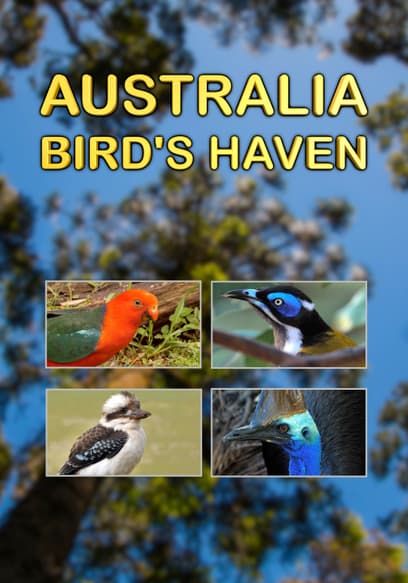 Australia: Bird's Haven