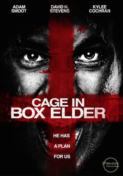 Cage in the Box Elder