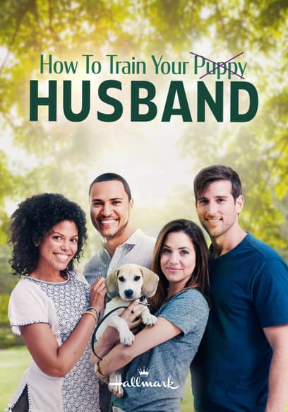 How to Train Your Husband