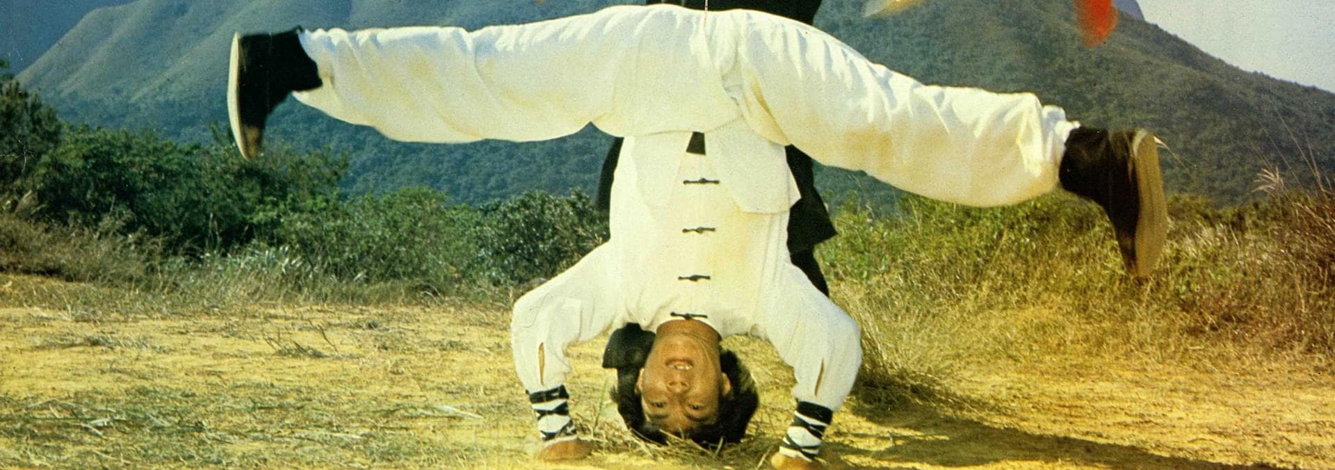 Watch Kung Fu vs Yoga (1979) Free Movies Tubi